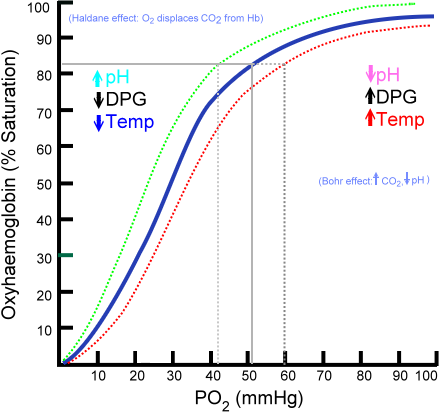 Curva de dissociação da oxihemoglobina: pO₂ × saturação da hemoglobina.